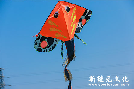 人人体育